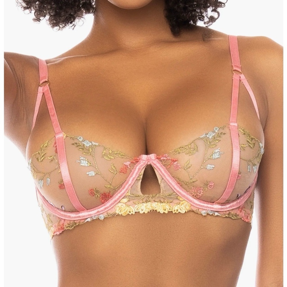 Floral Embroidered Sheer Bra - Pink